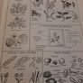 vintage science school book from 60's Image 7