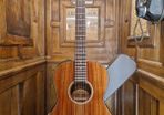 Takamine EF407