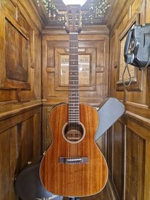 Takamine EF407