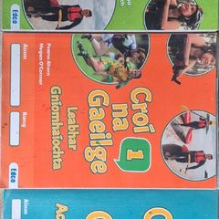 Junior Cycle Croi na Gaeilge 1