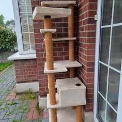Large Cat Tree (Collection only)