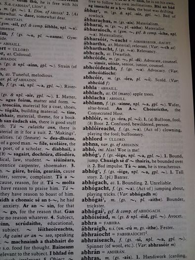 Irish- English Dictionary / Focloir Gaeilge - Bearla / Niall O Donaill /1977