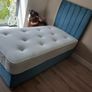 Single beds available in beautiful headboard style with mattress Image 3