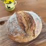 Organic sourdough starter Image 3