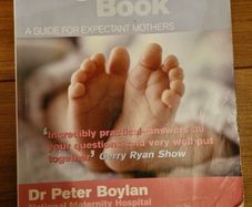 The irish pregnancy book