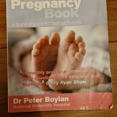 The irish pregnancy book