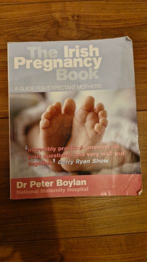 The irish pregnancy book