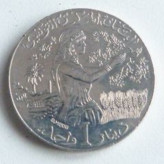 Excellent Tunisia dinar