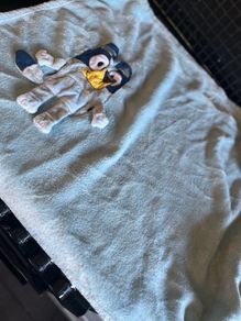 Bluey blanket