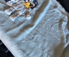 Bluey blanket