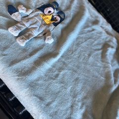 Bluey blanket