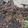 Old Plough Image 2