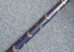 Rain Stick