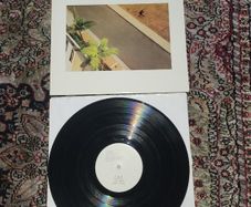 The sea and cake: oui LP