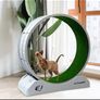 Cat treadmill Image 3