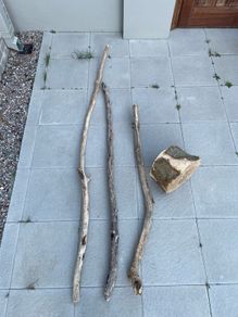 Drift woods