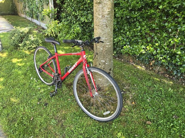 bike