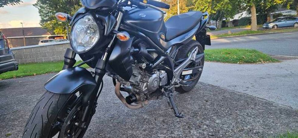 2014 Suzuki Sv Gladius