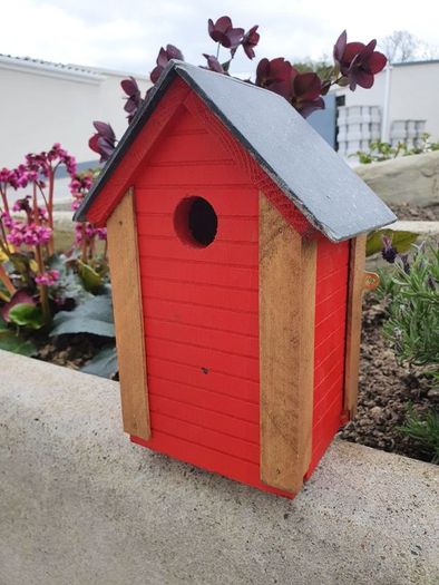 bird box