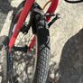 Carrera Saruna 20" Image 6