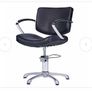 Salon Chair Image 2