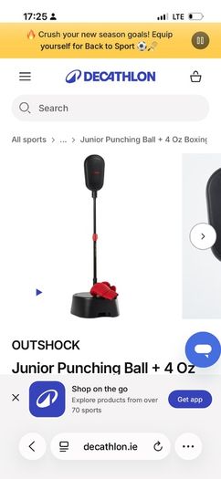 Junior Punching Ball