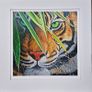 Hidden in the leaves | FineArt Print | Framed Image 9