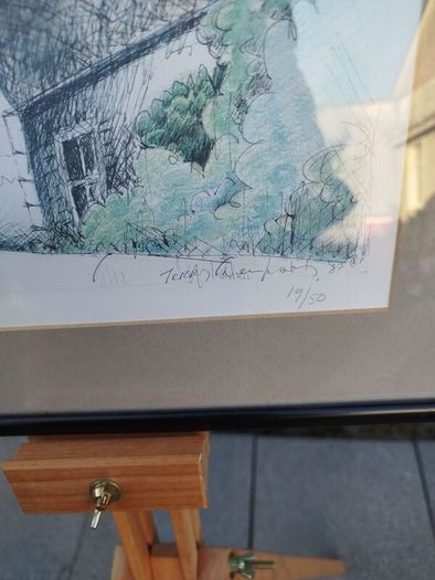 Framed Print