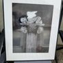 Lovely Anne Geddes Picture Image 2