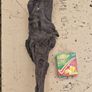 Collection of 4 Ancient Irish Bog Oak Pieces Image 5