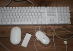 Apple accessories (25 each)