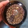 Caithness Vintage Glass Paperweights Image 7
