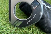 Ping Fetch 2024