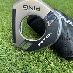 Ping Fetch 2024