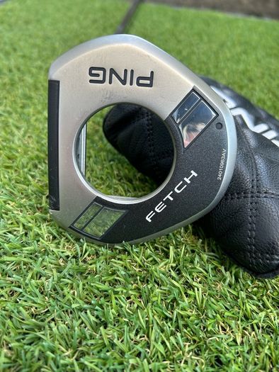 Ping Fetch 2024