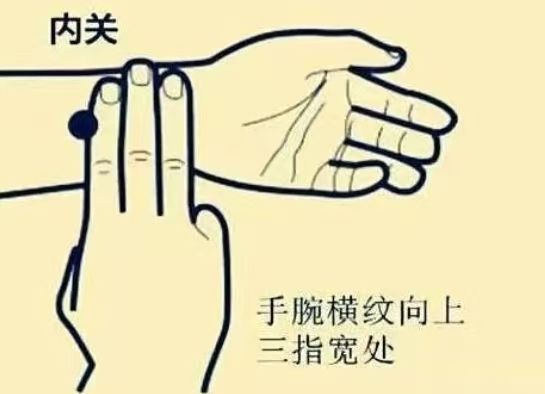 Professional Mobile Massage Service