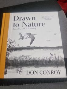 Drawn to Nature: Encounters With Irish Nature (Hardcover)