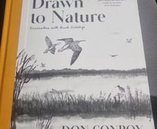 Drawn to Nature: Encounters With Irish Nature (Hardcover)