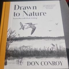 Drawn to Nature: Encounters With Irish Nature (Hardcover)