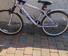17" Mountain Bike