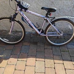 17" Mountain Bike