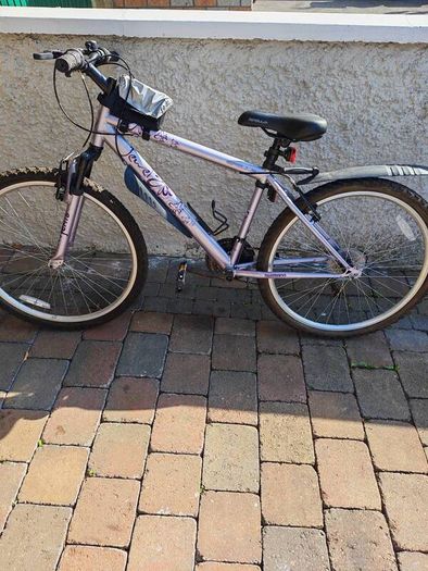 17" Mountain Bike