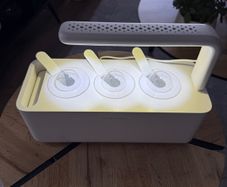 Smart Garden 3 Ready to Grow