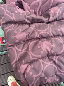 buggy liner