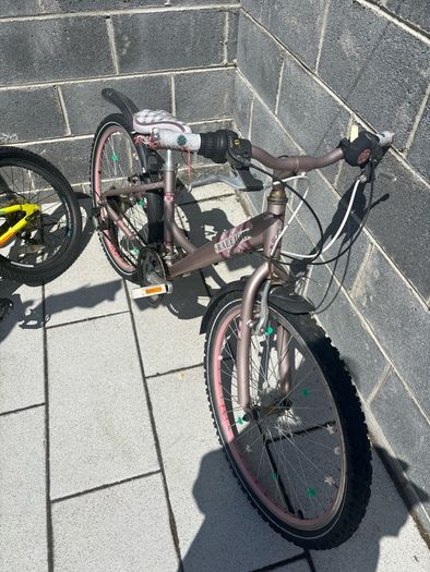 Girls Raleigh Bike