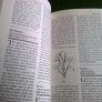 Irish Herbal Cures Ireland Image 7