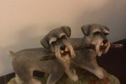 Sherratt &amp; Simpson Schnauzer Pair