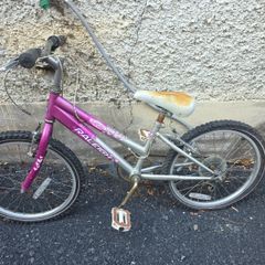 2 kids bikes