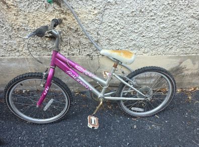 2 kids bikes