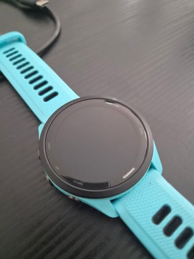 Garmin 265